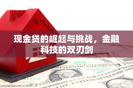 定远现金贷的崛起与挑战，金融科技的双刃剑