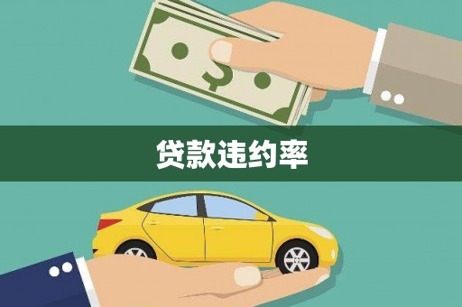 定远贷款违约率
