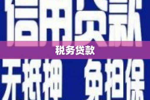 定远税务贷款