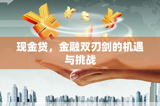 定远现金贷，金融双刃剑的机遇与挑战