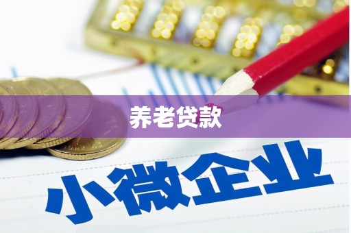 定远养老贷款