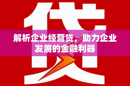 定远解析企业经营贷，助力企业发展的金融利器