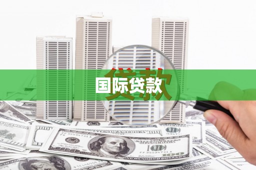 定远国际贷款
