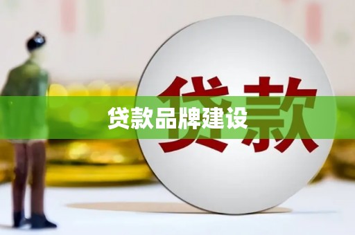 定远贷款品牌建设