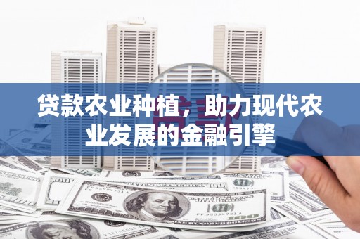 定远贷款农业种植，助力现代农业发展的金融引擎