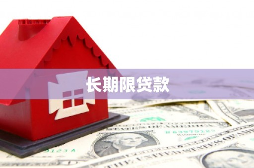 定远长期限贷款