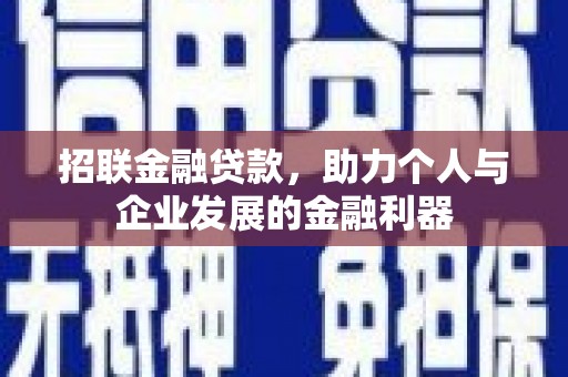 定远招联金融贷款，助力个人与企业发展的金融利器