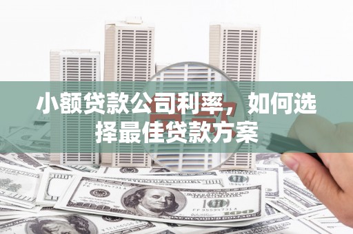 定远小额贷款公司利率，如何选择最佳贷款方案