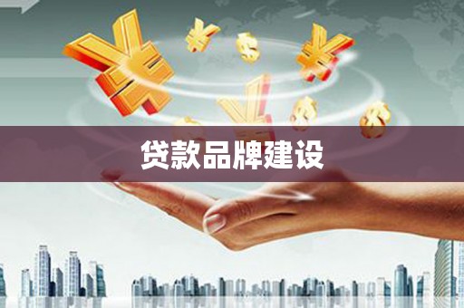 定远贷款品牌建设