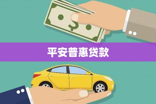 定远平安普惠贷款
