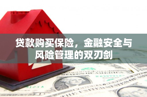定远贷款购买保险，金融安全与风险管理的双刃剑