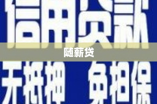 定远随薪贷