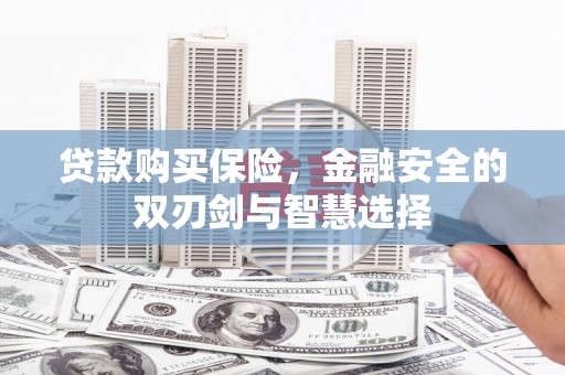 定远贷款购买保险，金融安全的双刃剑与智慧选择