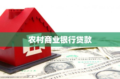 定远农村商业银行贷款