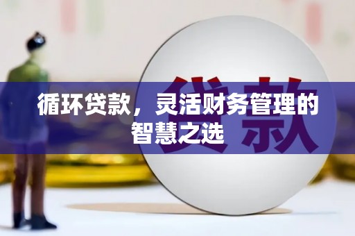 定远循环贷款，灵活财务管理的智慧之选