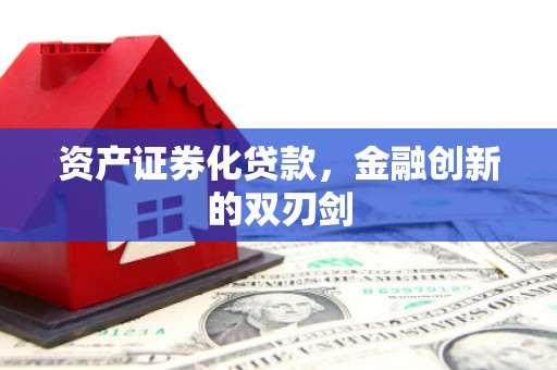 定远资产证券化贷款，金融创新的双刃剑