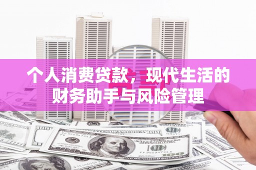 定远个人消费贷款，现代生活的财务助手与风险管理