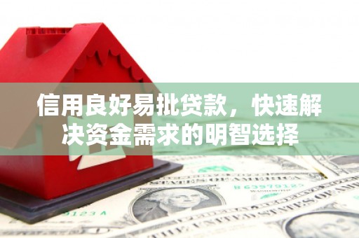 定远信用良好易批贷款，快速解决资金需求的明智选择