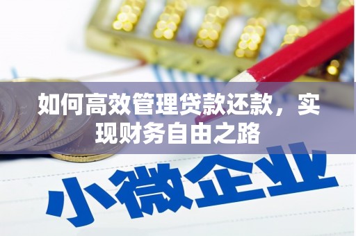 定远如何高效管理贷款还款，实现财务自由之路