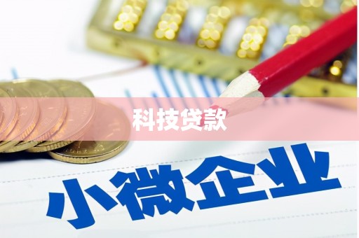 定远科技贷款