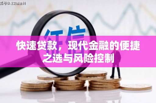 定远快速贷款，现代金融的便捷之选与风险控制