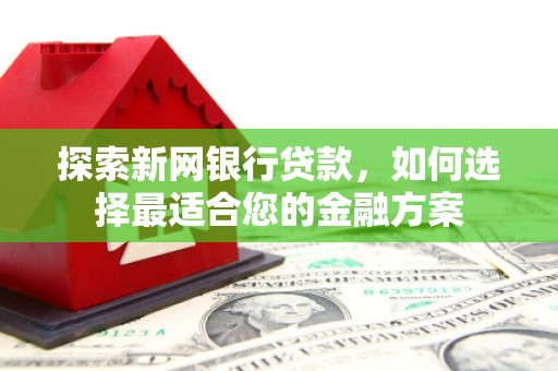 定远探索新网银行贷款，如何选择最适合您的金融方案