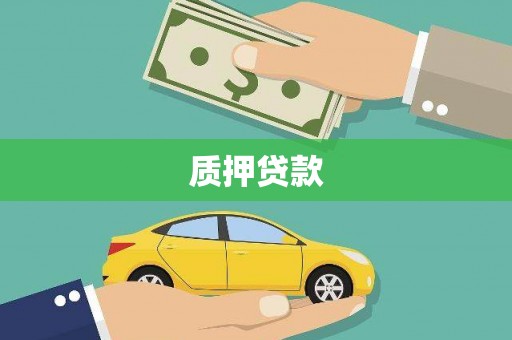 定远质押贷款