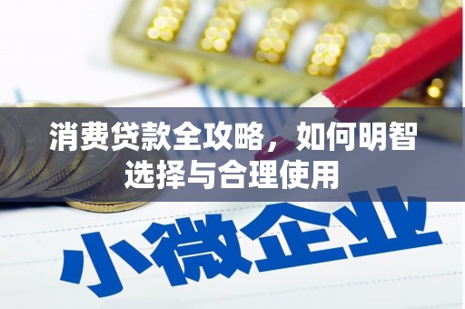 定远消费贷款全攻略，如何明智选择与合理使用