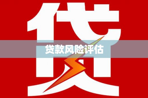 定远贷款风险评估