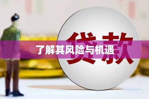 定远了解其风险与机遇