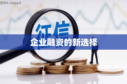 定远企业融资的新选择