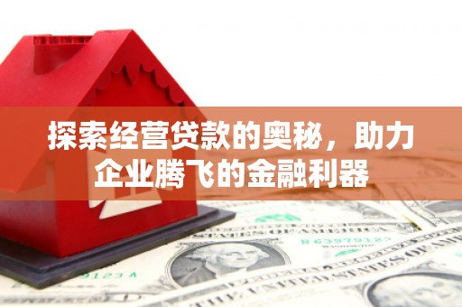 定远探索经营贷款的奥秘，助力企业腾飞的金融利器