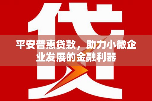 定远平安普惠贷款，助力小微企业发展的金融利器