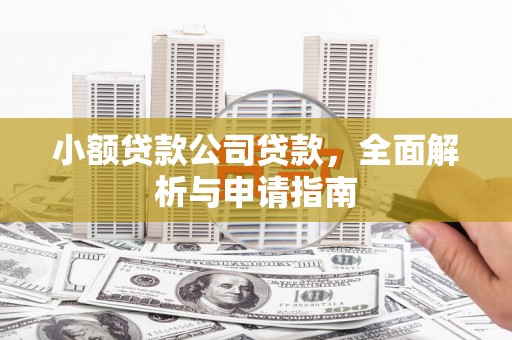 定远小额贷款公司贷款，全面解析与申请指南