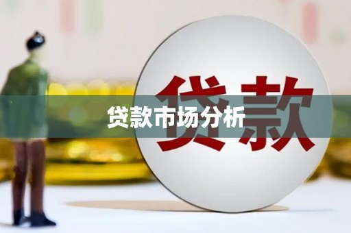 定远贷款市场分析