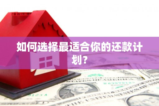 定远如何选择最适合你的还款计划？