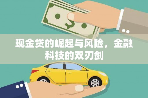 定远现金贷的崛起与风险，金融科技的双刃剑