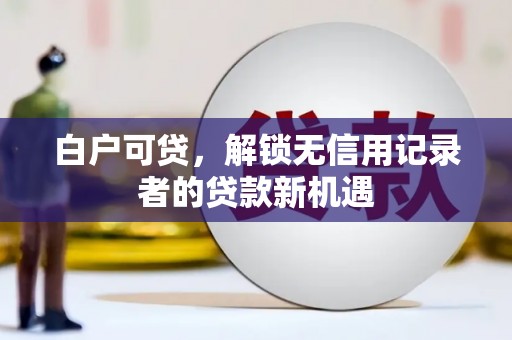 定远白户可贷，解锁无信用记录者的贷款新机遇