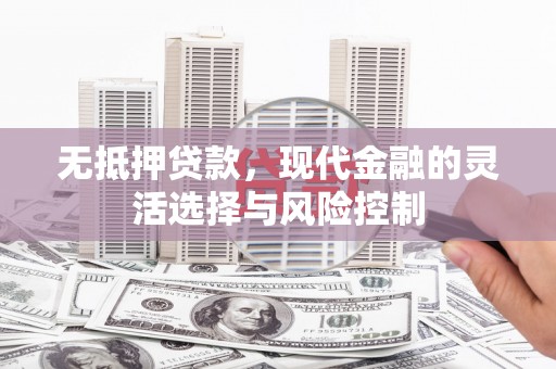定远无抵押贷款，现代金融的灵活选择与风险控制