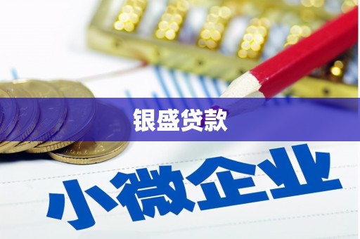 定远银盛贷款