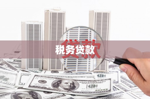 定远税务贷款