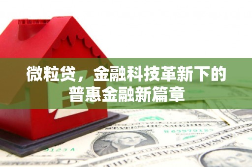 定远微粒贷，金融科技革新下的普惠金融新篇章