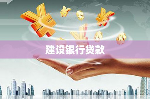 定远建设银行贷款