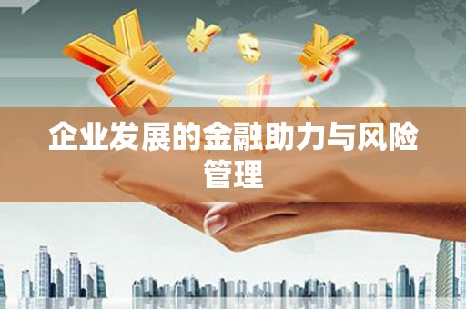 定远企业发展的金融助力与风险管理