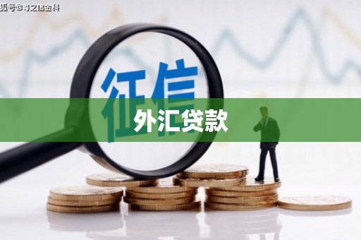 定远外汇贷款