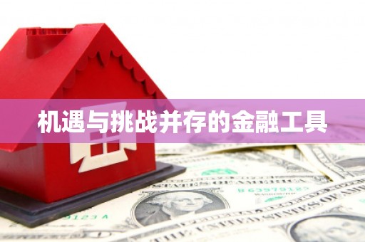 定远机遇与挑战并存的金融工具