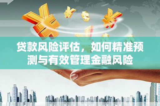 定远贷款风险评估，如何精准预测与有效管理金融风险