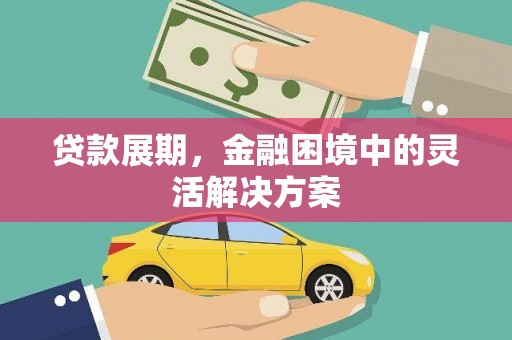 定远贷款展期，金融困境中的灵活解决方案