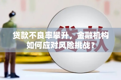 定远贷款不良率攀升，金融机构如何应对风险挑战？