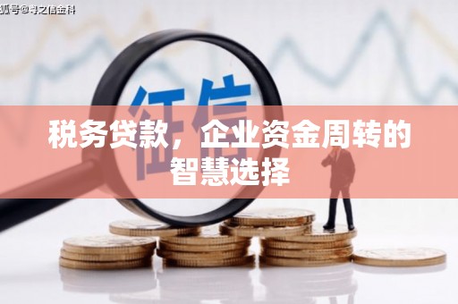 定远税务贷款，企业资金周转的智慧选择